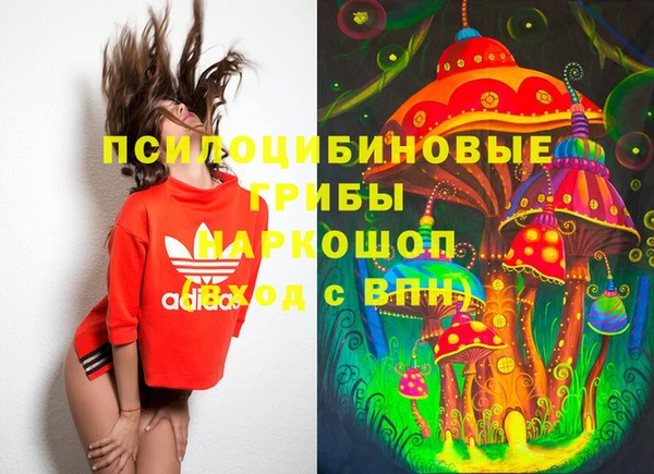 стафф Армянск
