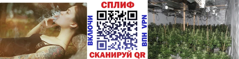 кракен ССЫЛКА  как найти закладки  Рыльск  МАРИХУАНА THC 21% 